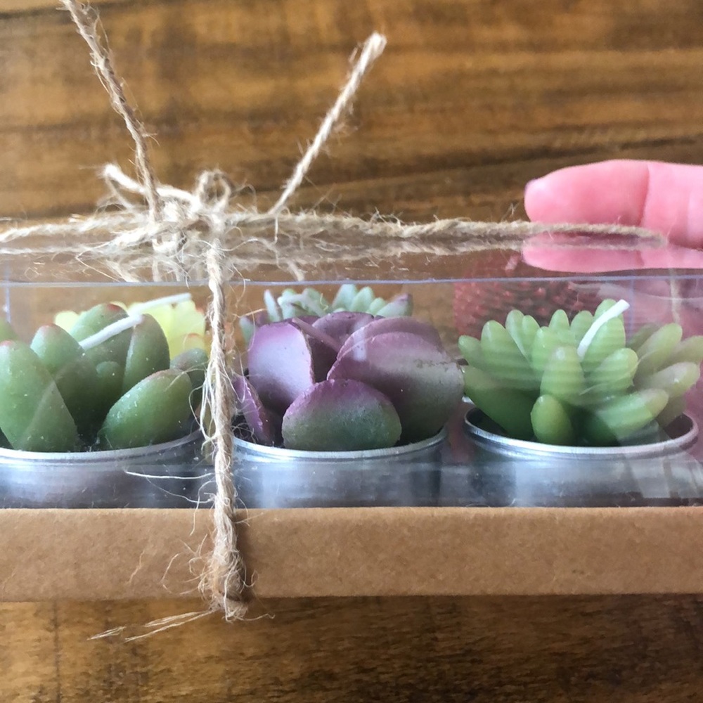 Cactus candles - Picture 2 of 2